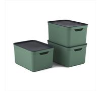 Jive Dekobox Lot de 3 boîtes de rangement 16l avec couvercle, Plastique (PP recyclé), vert/anthracite, 3x16l (37.5 x 27.8 x 29.8 cm)