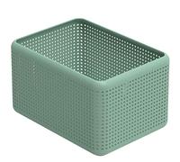 Rotho Madei Boîte de rangement 13l, Plastique (PP) sans BPA, vert, 13l (32.6 x 23.8 x 18.8 cm)