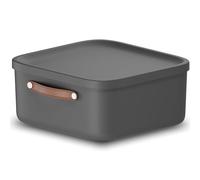 Rotho Maloja Boîte de rangement 20 l, Plastique (PP recyclé), 20 (39.5 x 38.0 x 17.7 cm), Anthracite