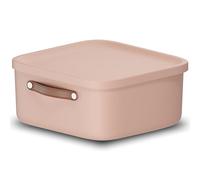 Rotho Maloja Boîte de rangement 20 l, Plastique (PP recyclé), 20 (39.5 x 38.0 x 17.7 cm), Rose