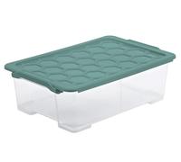 Rotho Mistletoe Boîte de rangement EVO Safe avec couvercle Vert 30 l