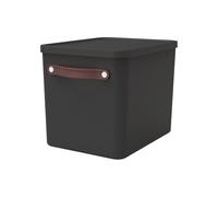 Rotho MyPaper Boîte d'archivage de documents My Paper Plus Plastique (PP) sans BPA Noir 40 x 29,2 x 29,8 cm
