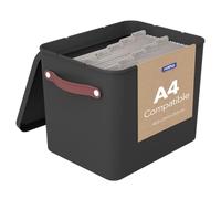 Rotho MyPaper Boîte d'archivage de documents My Paper Plus Plastique (PP) sans BPA Noir 40 x 29,2 x 29,8 cm