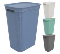 Rotho Collecteur de lavage Brisen 50 l - Couvercle, 2 poignées, PP sans BPA, Blanc