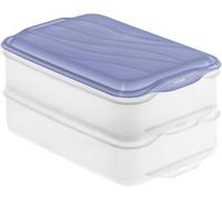Rotho Boîte de conservation Rondo pour réfrigérateur 2 x 1,35 l Bleu horizon