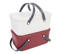 Rotho RUMA Lot de 2 paniers de transport avec couvercle 12L, plastique PP sans BPA, multicolore, 39,5 x 22 x 17,5 cm