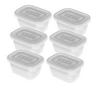 Rotho Set de 6 boîtes de congélation de 0,25 l avec couvercle, plastique (PP) sans BPA, transparent, 6 x 0,25 l (11,2 x 7,8 x 5,9 cm)