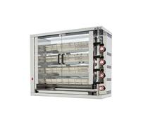 Rôtissoire à Gaz Professionnelle Haute Performance avec Broches Arilex 1 G
