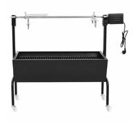 Rôtissoire Jardin-Rôtissoire pour barbecue électrique Acier inoxydable NEUF - BM 2997719