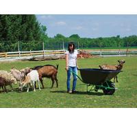 Roto Brouette électrique charge lourde - 120 L à 500 L - 6697 + 9011