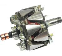 AS-PL Rotor d'alternateur AR0040