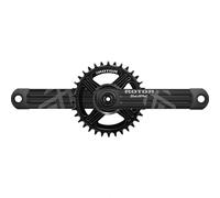 Rotor Ekapic Brose Qf170 Crank Noir 170 mm Black