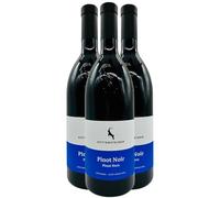Rottensteiner Alto Adige Pinot Nero - Rouge 2024 - Vin Rouge d'Italie (3x75cl)