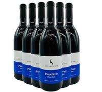Rottensteiner Alto Adige Pinot Nero - Rouge 2024 - Vin Rouge d'Italie (6x75cl)