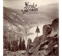 Rotting Body In The Range Of Light