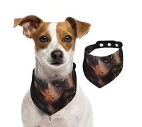 Rottweiler - Aimant, confiant et fidèle,Bandanas pour Chien, écharpe en Coton, Bavoirs réglables pour Animaux de Compagnie,L