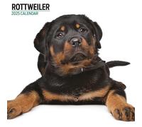 Rottweiler Calendrier moderne 2025