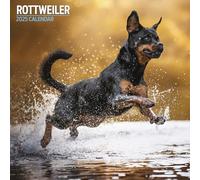 Rottweiler Calendrier traditionnel 2025