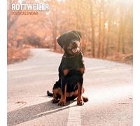 Rottweiler Calendrier traditionnel 2026