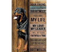 Rottweiler Dog I Am Your Friend Your Partner Your Rottweiler You Are My Life Plaque en métal vintage 20,3 x 30,5 cm