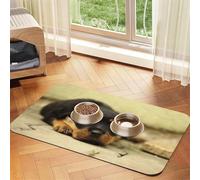 Rottweiler Dogs Cute Dogs Puppy Pets Small,Waterproof Pet Feeding Mat,PU Leather Placemats for Cat Dog Water Bowl,Food Mats,30x45cm