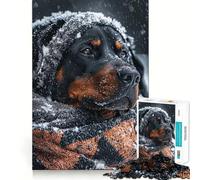 Rottweiler en Hiver Puzzle de 1000 pièces pour Adolescents Jeu de logique Stimulant Amusant en intérieur Bordure Premium Cadeau mémorable (50x75cm)