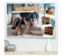 Rottweiler - Kraftvolle Gefährten mit großem Herzen (hochwertiger Premium Wandkalender 2027 DIN A2 quer), Kunstdruck in Hochglanz: Treue Begleiter durchs ganze Jahr