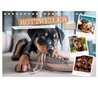 Rottweiler - Kraftvolle Gefährten mit großem Herzen (Tischkalender 2027 DIN A5 quer), CALVENDO Monatskalender: Treue Begleiter durchs ganze Jahr