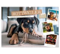 Rottweiler - Kraftvolle Gefährten mit großem Herzen (Wandkalender 2027 DIN A2 quer), CALVENDO Monatskalender: Treue Begleiter durchs ganze Jahr