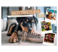 Rottweiler - Kraftvolle Gefährten mit großem Herzen (Wandkalender 2027 DIN A3 quer), CALVENDO Monatskalender: Treue Begleiter durchs ganze Jahr