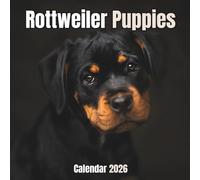 Rottweiler Puppies Calendar 2026: 14-Month Organizer from Nov 2025 to Dec 2026 | Perfect for Home, Office, School & Family Scheduling, For Men , Women , Girls , Boys