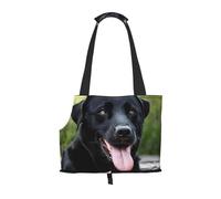 Rottweiler Sac à dos pliable pour animal domestique avec imprimé papier peint - Sac à main de voyage portable pour chiot, chat, sac à dos de transport pour animaux de compagnie.
