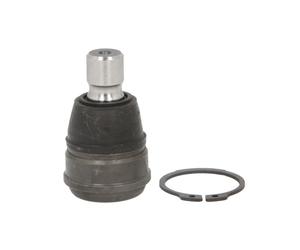 Rotule de suspension FEBI BILSTEIN 38543