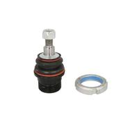 Rotule de suspension TRW JBJ765