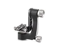 Rotule pendulaire GH2N