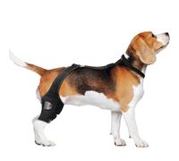 Rotule pour chien - Patte arrière - Genouillère pour chien - Antidérapante - Avec sangle réglable pour la faiblesse de rééducation - Mobilité - Fixation pour les blessures