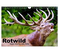 Rotwild - Calendrier mural 2026 - Motif cerf - Vaches fières - Format A4 paysage - Calendrier mensuel CALVENDO
