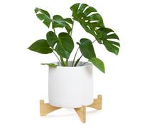 Roucerlin Support court en bois pour plantes - Support de pot de fleurs à un seul sol - Support pour plantes d'intérieur - Support moderne du milieu du siècle pour présentation (29 x 6 cm, nature)