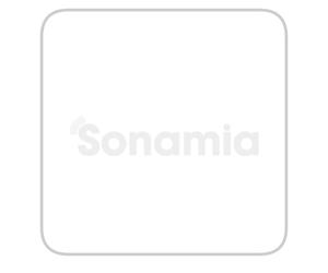 Roue à moyeu 20K 5.50x8 RBD25L64N 9006P2 ENTRETOISE CHAPEAU - SONAMIA - S023867