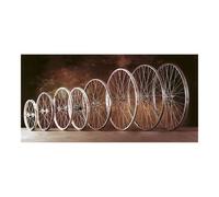 Roue arrière de vélo Gurpil 700x28c avec 36 rayons galvanisés et pignon à 5 vite