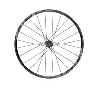 Zipp Am 1zero Hitop S 29´´ 6b Disc Tubeless Mtb Front Wheel Argenté 15 x 110 mm