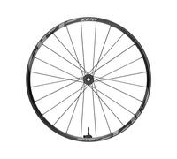 Zipp Am 1zero Hitop Sw 29´´ Cl Disc Tubeless Mtb Front Wheel Argenté 15 x 110 mm Grey Graphic 1