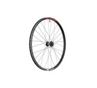 Roue avant DH DT Swiss FR 1500 CLASSIC - Aluminium - Tubeless Ready - 20x110mm ( Noir / 29" (622-20mm) )