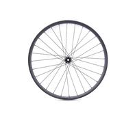 Lapierre Lp Carbon Am 27.5´´ Boost Cl Disc Tubeless Mtb Front Wheel Argenté 15 x 110 mm/12 x 148 mm
