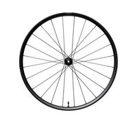 Shimano Rx180 Disc Tubeless Front Wheel Argenté 12 x 100 mm