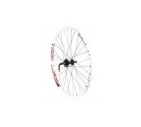 Roue avant VTT Free-Ride Disc Blanc - RODI - Moyeu roulement annulaire - Axe 100 mm