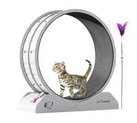 Roue de course pour chaton - Roue d'exercice pour animaux de compagnie | Installation silencieuse pour chaton Tapis de course de sécurité avec teaser | Grande roue d'exercice sécurisée améliorée pour