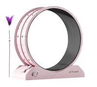 Roue de course pour chats - Roues d'intérieur à faible bruit - Tapis de course pour exercices de fitness - Équipement d'entraînement avec teeaser pour animaux de compagnie, jeu, perte de poids - 80 x