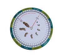 Roue de grossesse compacte de 12 cm à fixation murale pour futures mères et nouveaux parents Roue de suivi de grossesse