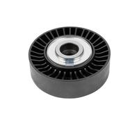 DT Spare Parts 11.12071 Galet enrouleur de courroie d'accessoire